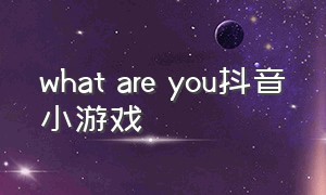 what are you抖音小游戏