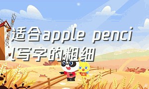 适合apple pencil写字的粗细