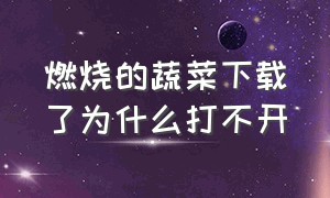 燃烧的蔬菜下载了为什么打不开（燃烧的蔬菜官方下载）