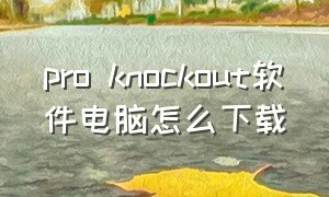pro knockout软件电脑怎么下载（proknockout设置中文）