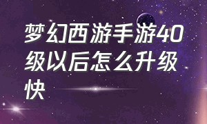 梦幻西游手游40级以后怎么升级快