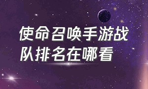 使命召唤手游战队排名在哪看