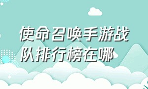 使命召唤手游战队排行榜在哪