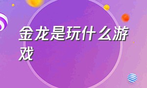 金龙是玩什么游戏