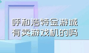 呼和浩特金游城有卖游戏机的吗