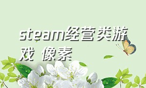 steam经营类游戏 像素