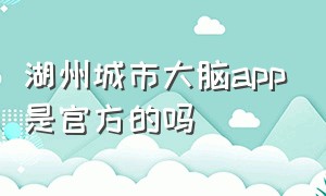 湖州城市大脑app是官方的吗