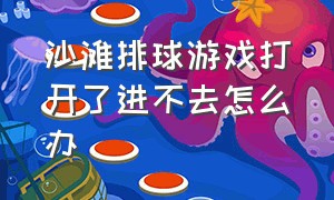 沙滩排球游戏打开了进不去怎么办