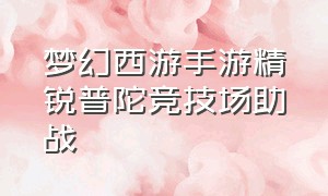 梦幻西游手游精锐普陀竞技场助战（梦幻西游手游普陀最强搭配助战）