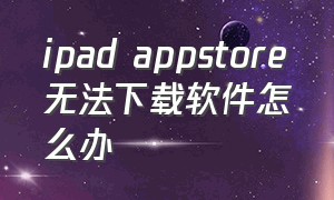 ipad appstore无法下载软件怎么办（ipad的appstore不见了怎么解决）