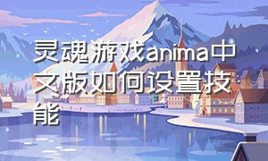 灵魂游戏anima中文版如何设置技能