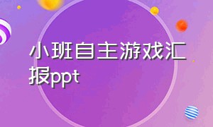 小班自主游戏汇报ppt