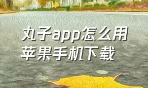 丸子app怎么用苹果手机下载