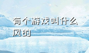 有个游戏叫什么风的（风风的游戏名字叫什么）