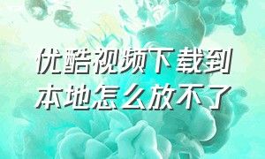 优酷视频下载到本地怎么放不了