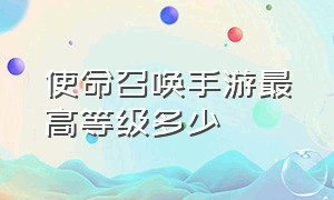 使命召唤手游最高等级多少