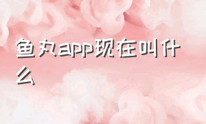 鱼丸app现在叫什么