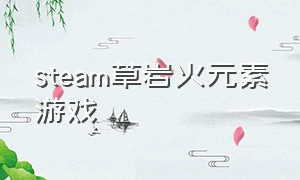 steam草岩火元素游戏