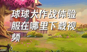 球球大作战体验服在哪里下载视频