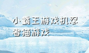 小霸王游戏机忍者猫游戏（小霸王游戏机里的忍者游戏）