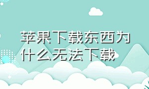 苹果下载东西为什么无法下载