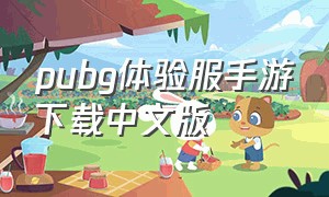 pubg体验服手游下载中文版