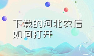 下载的河北农信如何打开（怎样登录河北农信客户端）