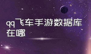 qq飞车手游数据库在哪