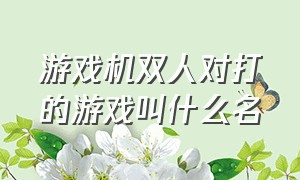 游戏机双人对打的游戏叫什么名