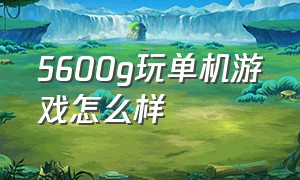 5600g玩单机游戏怎么样（玩大型单机游戏用机械还是固态）