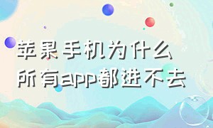 苹果手机为什么所有app都进不去