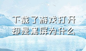 下载了游戏打开却是黑屏为什么