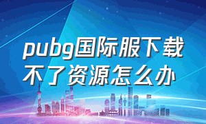 pubg国际服下载不了资源怎么办