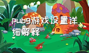 pubg游戏设置详细解释（pubg游戏玩法设置怎么调最好）