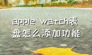 apple watch表盘怎么添加功能