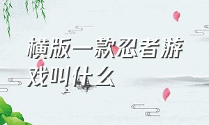 横版一款忍者游戏叫什么