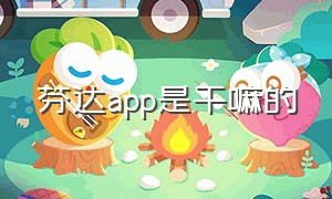 芬达app是干嘛的（芬达app下载不了怎么办）