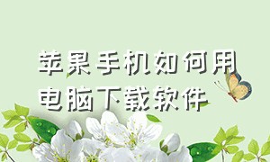 苹果手机如何用电脑下载软件（苹果手机如何用数据线给电脑联网）