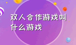 双人合作游戏叫什么游戏