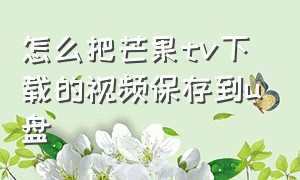 怎么把芒果tv下载的视频保存到u盘