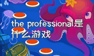the professional是什么游戏