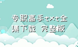 专职高手txt全集下载 完整版