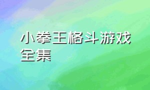 小拳王格斗游戏全集