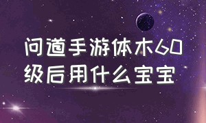 问道手游体木60级后用什么宝宝