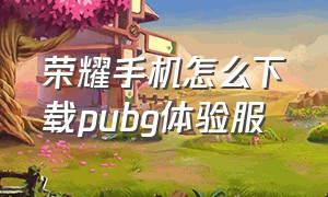 荣耀手机怎么下载pubg体验服