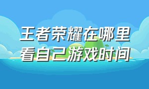 王者荣耀在哪里看自己游戏时间（王者荣耀在哪接代打单子）