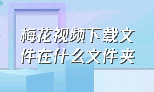 梅花视频下载文件在什么文件夹