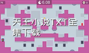 天王小说TXT全集下载