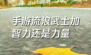 手游流浪武士加智力还是力量