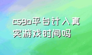 csgo平台计入真实游戏时间吗（csgo平台时间算游戏时间吗）